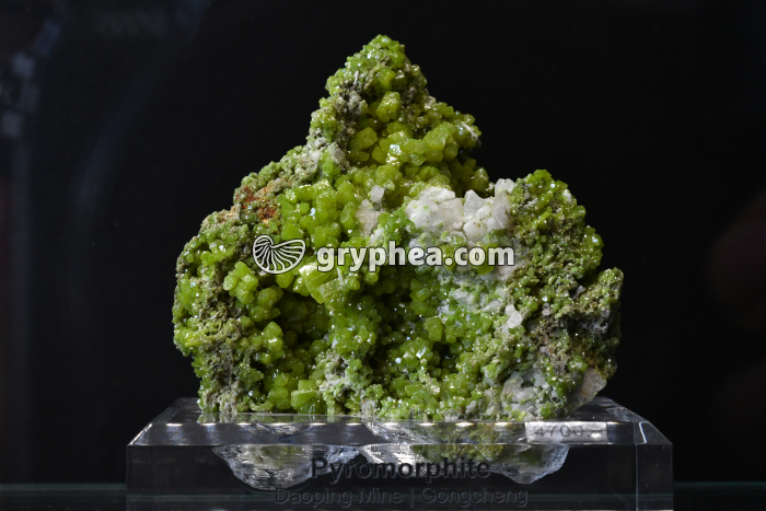 Pyromorphite (Gongcheng, Chine) - gryphea.com